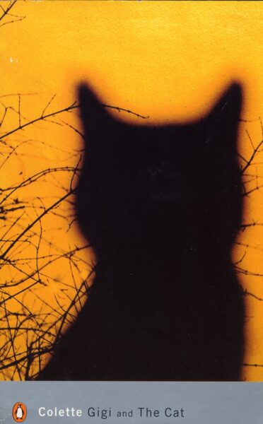 Silhouette of a cat on a fiery sunset background