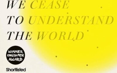 When We Cease to Understand the World